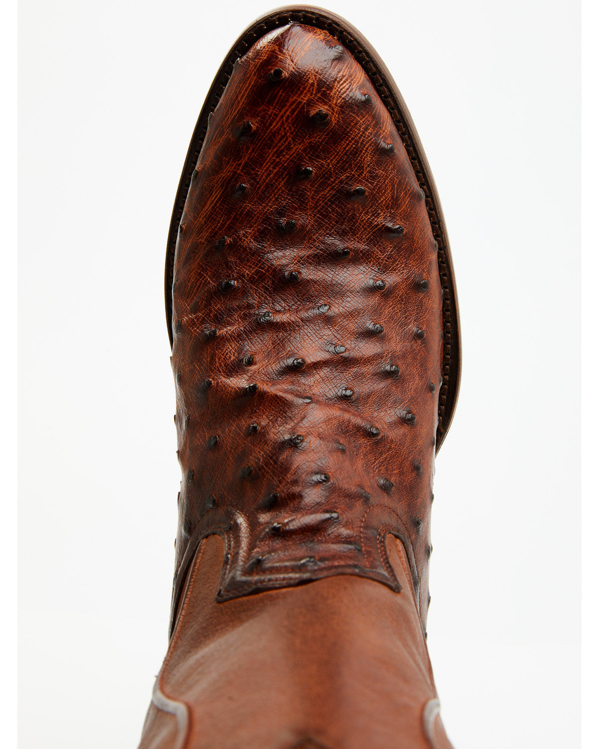 Cody James Black 1978® Men's Chapman Exotic Full-Quill Ostrich Western
